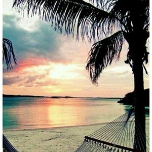 Meet your Posher, Krystal